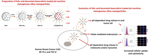 Drug Delivery Systems